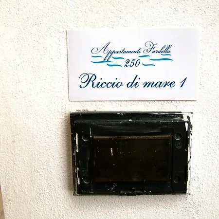 Fardella 250 * Trapani